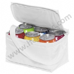 Reusable Polyester Cooler Bag with Tote Handle and Zipper