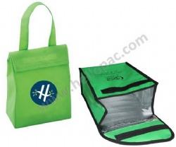 Reusable Non Woven Insulated Picnic Cooler Bag with Tote Handle and Velcro Closure