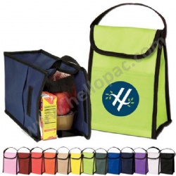 Reusable Non Woven Insulated Picnic Cooler Bag with Tote Handle and Velcro Closure