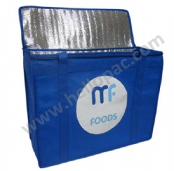 Reusable Carriable Non Woven Insulated Picnic Cooler Bag with Tote Handle and Zipper Closure