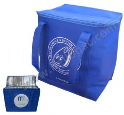 Reusable Carriable Non Woven Insulated Picnic Cooler Bag with Tote Handle and Zipper Closure