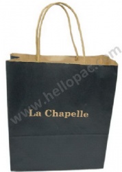 Brown Kraft Paper Bag with Twisted Handle