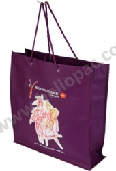 Durable Eco-Friendly Reusable Promotional Polypropylene Non Woven Shopping Bag with Cotton Rope Handle