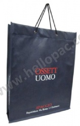 Durable Eco-Friendly Reusable Promotional Polypropylene Non Woven Shopping Bag with Cotton Rope Handle