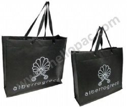 Durable Eco-Friendly Reusable Promotional Polypropylene Non Woven Shopping Bag with Cotton Rope Handle