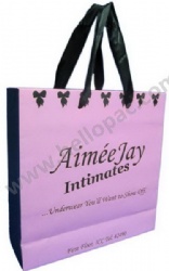 Paper Shopping Bag with Ribbon Handle