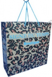 Full side Printing Paper Bag with Rope Handle