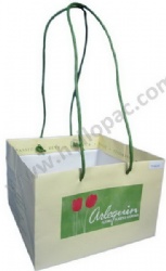 Paper Bag with Long Twisted Handle