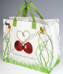 Durable Promotional Reusable Lamination PP Woven Shopping Gift Bag with Tote Handle and CMYK Lamination