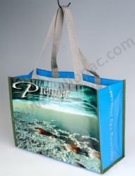 Durable Promotional Reusable Lamination PP Woven Shopping Gift Bag with Tote Handle and CMYK Lamination