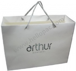 Paper Bag with Hot Stamping logo