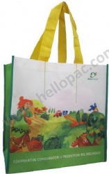 Biodegradable Heavy-Duty Promotional Reused RPET Non Woven Giveaway Shopping Bag with Carriable Tote Handle and Sublimation Printing for Recycled Packaging