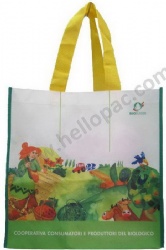 Biodegradable Heavy-Duty Promotional Reused RPET Non Woven Giveaway Shopping Bag with Carriable Tote Handle and Sublimation Printing for Recycled Packaging