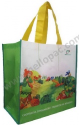 Biodegradable Heavy-Duty Promotional Reused RPET Non Woven Giveaway Shopping Bag with Carriable Tote Handle and Sublimation Printing for Recycled Packaging